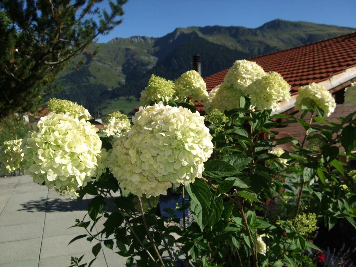 Aegerta Alte Schreinerei Tschiertschen